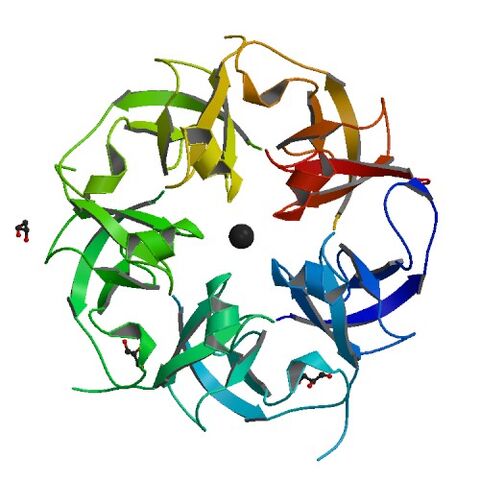 File:2RCF bio r 500.jpg