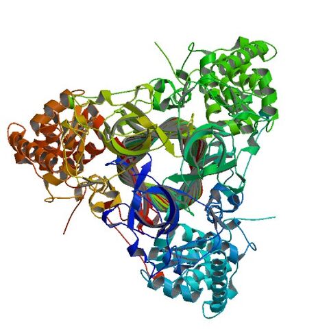 File:1PDL bio r 500.jpg
