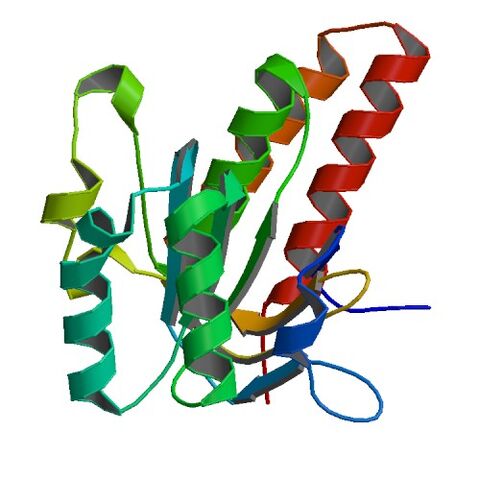 File:1LA1 bio r 500.jpg