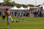 Orton To Wolfe