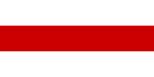 File:Flag of Belarus.png