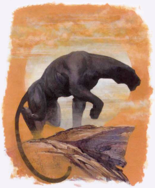 Spectral Panther