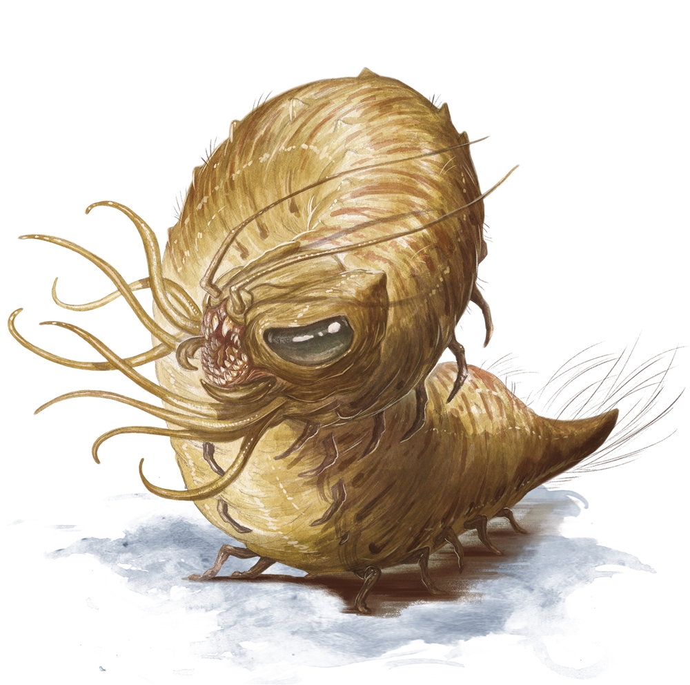 Carrion Crawler
