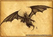 Blaudrache.jpg