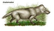 Diademodon