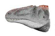 Acrocanthosaurus head BW