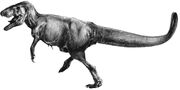 Dryptosaurus