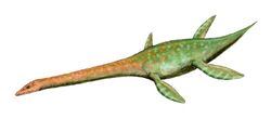 Attenborosaurus BW