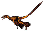 Sinornithosaurus