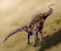 Diplodocus BW