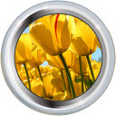 File:Badge-category-3.png