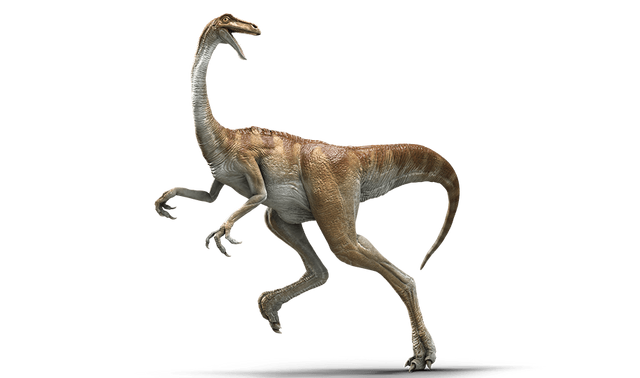 File:JW Gallimimus.png