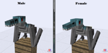 File:Add.png