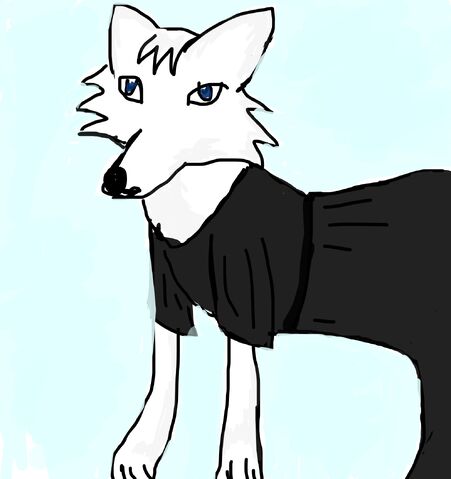 File:Arcticfox.jpg
