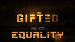 Equality