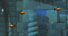 Poissonrouge2.png
