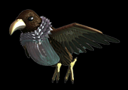 Faucon.png