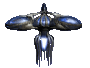 Capillata Front Blank.gif
