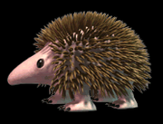 Hérisson.png