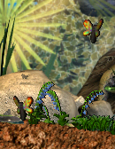 Papillon2.png