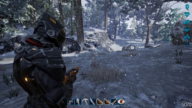 File:Fragmented snow biome2.jpg
