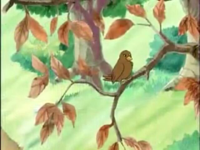 File:Brown bird.jpg