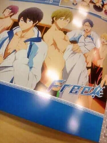 Datei:Haruka-Makoto-Nagisa-Rei-Rin 3.jpg