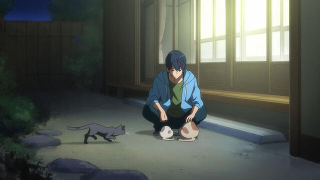 File:Haru 12.jpg