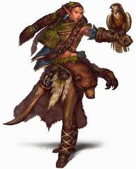 ElfNatureWarden