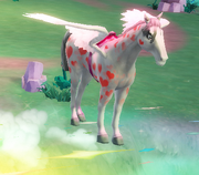 Hearts Pegasus