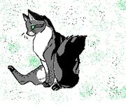 Ravenheart