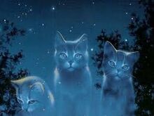 Star clan-0