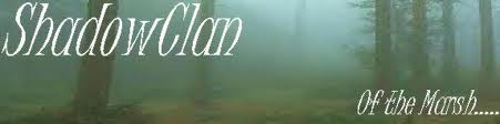 File:Shadowclan2.jpg