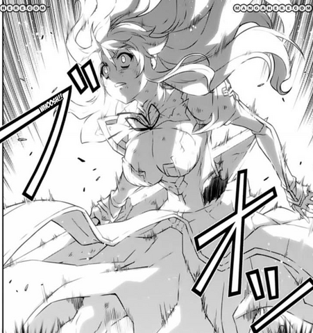 Archivo:Accel trascendental.png