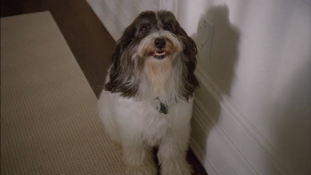 File:Murray 66.png