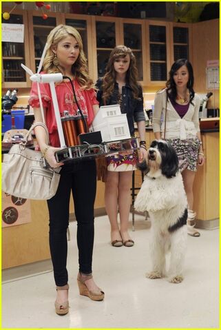 File:Frenemies-official-pics-24.jpg