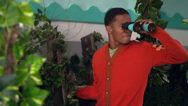 File:Jungle Jazz.jpg