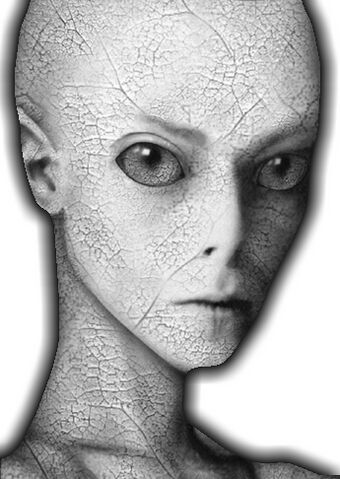 Файл:Alien-hybrid.jpg