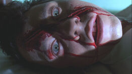 5-15-jake-meat-cleaver 528 poster