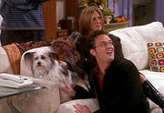 Friends episode154 337x233 032020061513