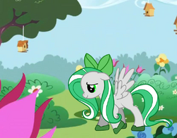 Mintchipswirl