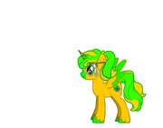 Clover