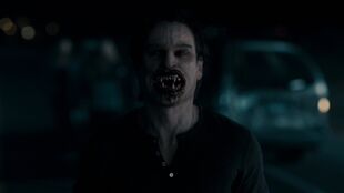 Fright2bnight2b20112b3