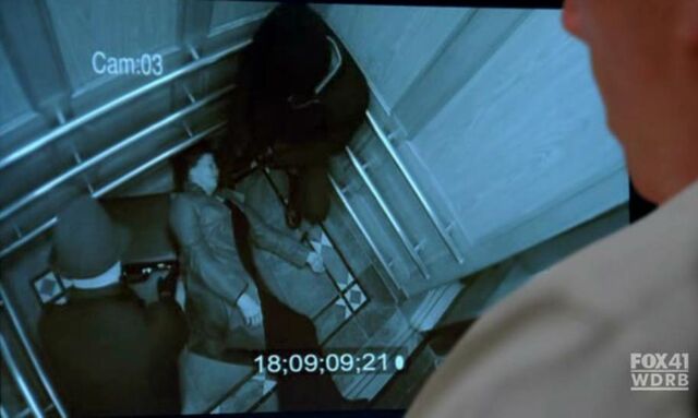 Archivo:Vid.jpg