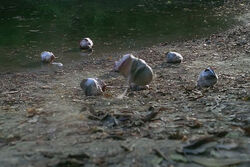 204 Heads.jpg