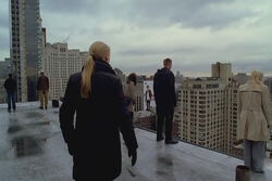 117 on the roof