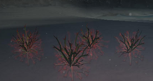 Bloodmoss.png