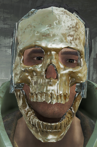 File:Skullplate.png