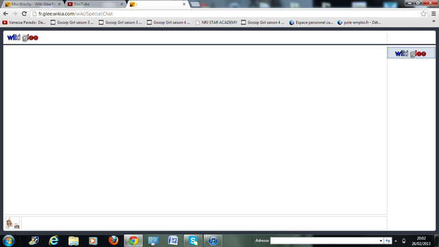Fichier:Bugtchat.png
