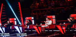 Spot The Voice.jpeg